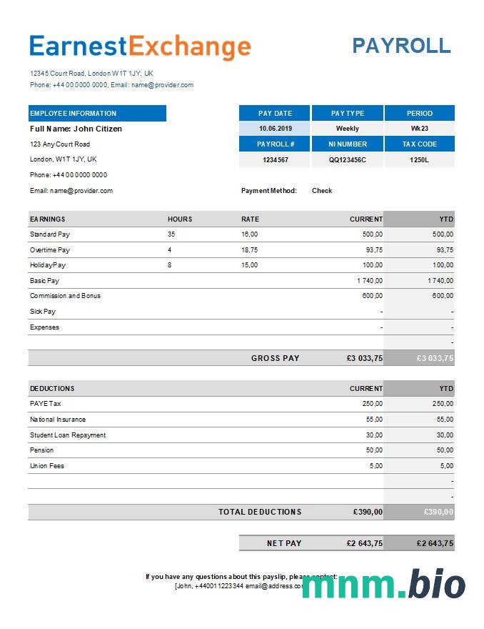 szablon płac firmy wymiany walut w formatach Excel i PDF